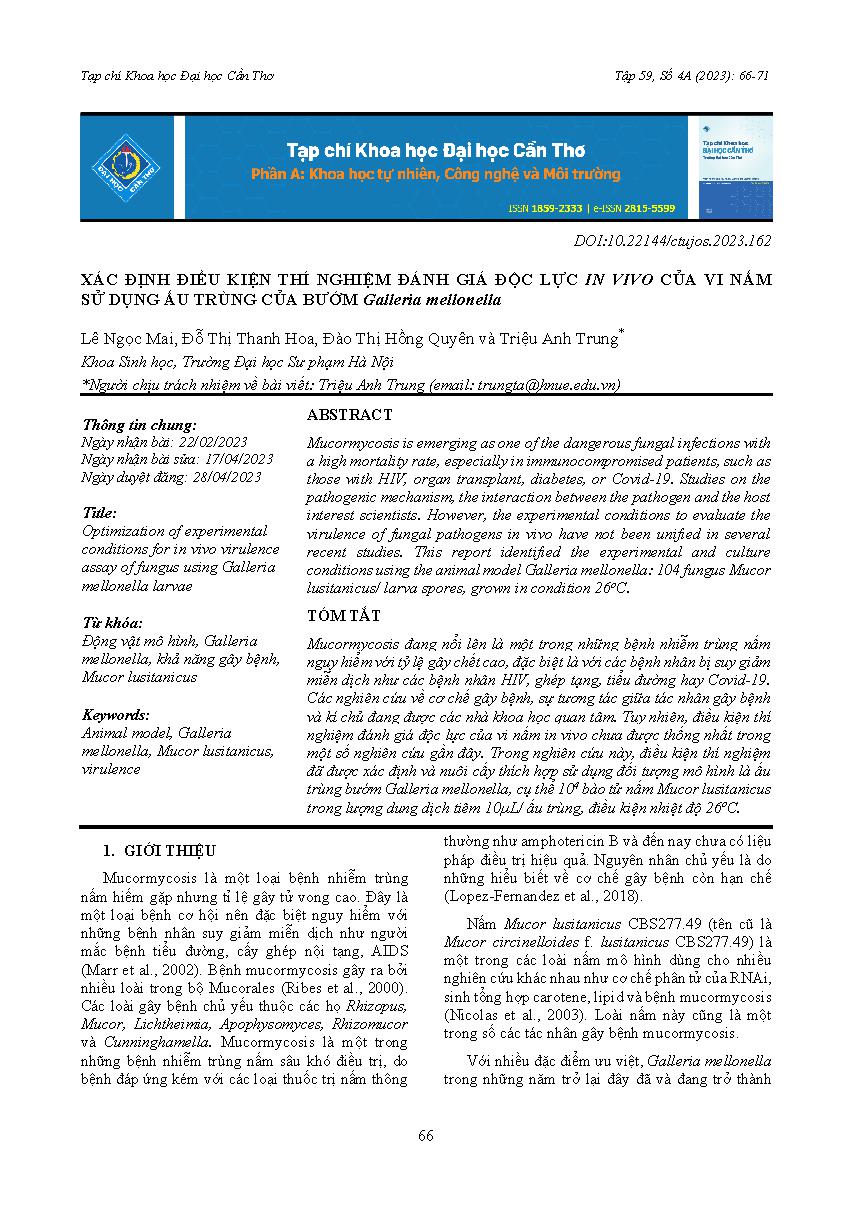 Xác định điều kiện thí nghiệm đánh giá độc lực in vivo của vi nấm sử dụng ấu trùng của bướm Galleria mellonella = Optimization of experimental conditions for in vivo virulence assay of fungus using Galleria mellonella larvae