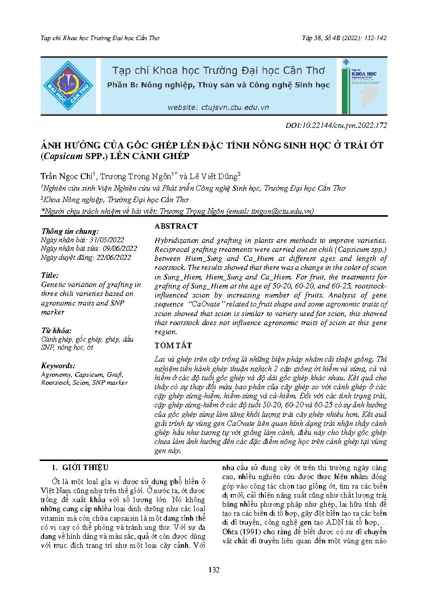 Ảnh hưởng của gốc ghép lên đặc tính nông sinh học ở trái ớt (Capsicum spp.) lên cành ghép = Genetic variation of grafting in three chili varieties based on agronomic traits and SNP marker
