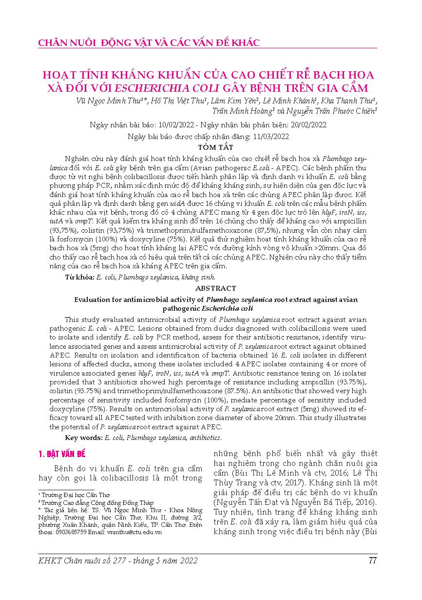 Hoạt tính kháng khuẩn của cao chiết rễ bạch hoa xà đối với Escherichia coli gây bệnh trên gia cầm = Evaluation for antimicrobial activity of Plumbago zeylanica root extract against avian pathogenic Escherichia coli