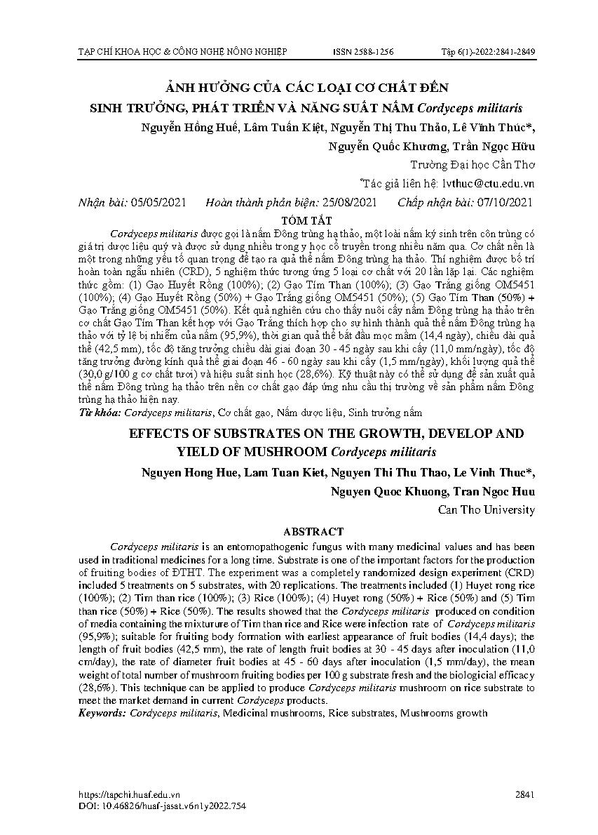 Ảnh hưởng của các loại cơ chất đến sinh trưởng, phát triển và năng suất nấm Cordyceps militaris