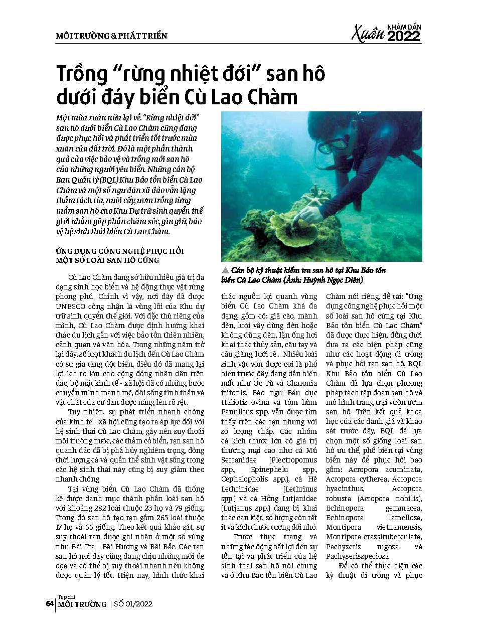 Trồng “rừng nhiệt đới” san hô dưới đáy biển Cù Lao Chàm