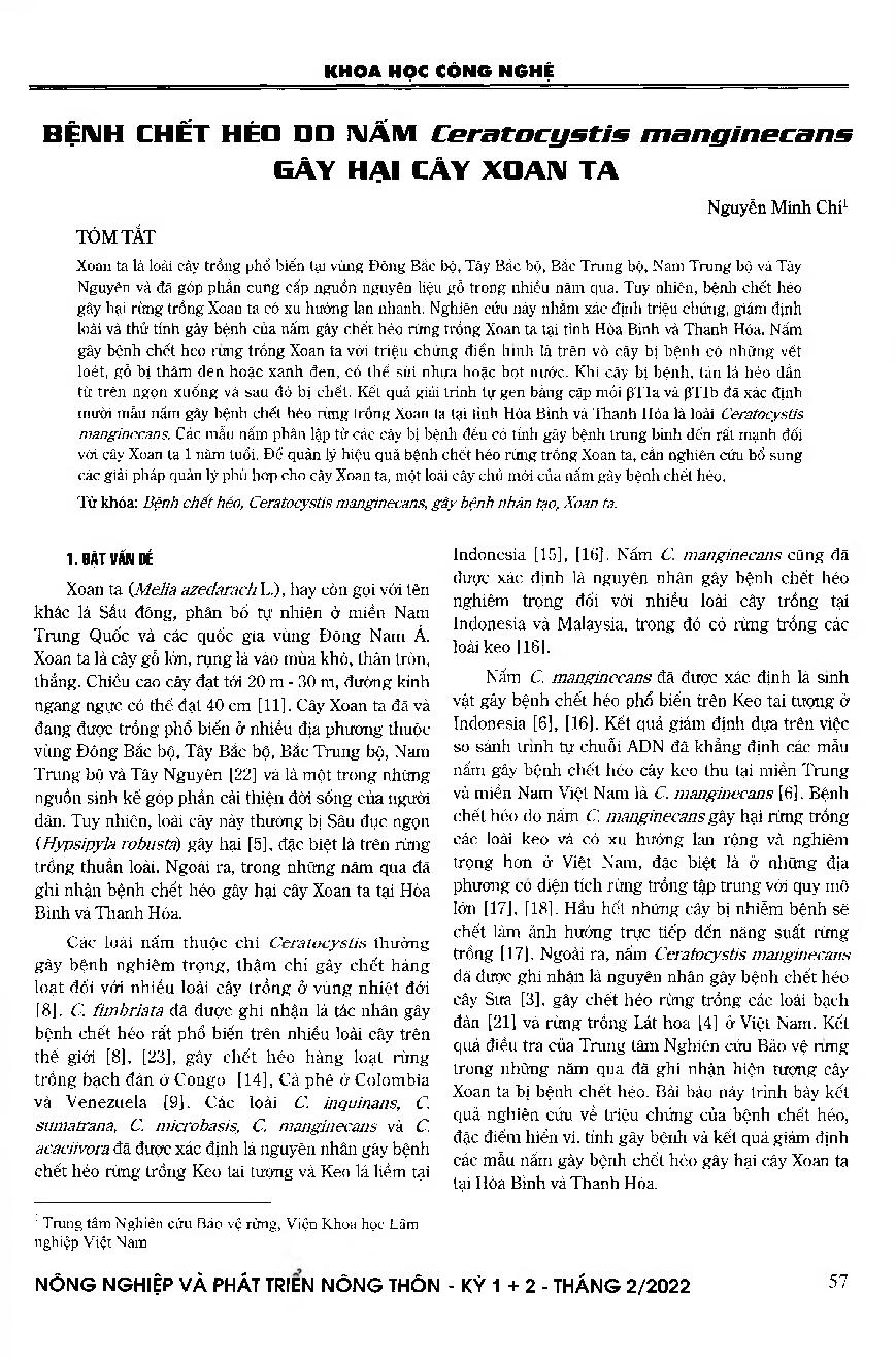 Bệnh chết héo do nấm Ceratocystis manginecans gây hại cây xoan ta = Wilt disease in Melia azedarach caused by Ceratocystis manginecans