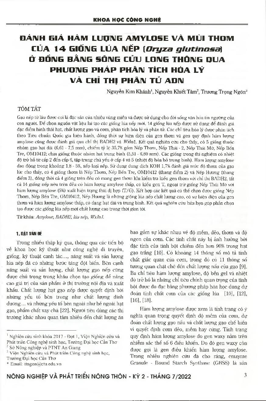 Đánh giá hàm lượng amylose và mùi thơm của 14 giống lúa nếp (Oryza glutinosa) ở đồng bằng sông Cửu Long thông qua phương pháp phân tích hóa lý và chỉ thị phân tử ADN = Evaluation of amylose content and aroma of 14 glutinous rice (Oryza glutinosa) varietie