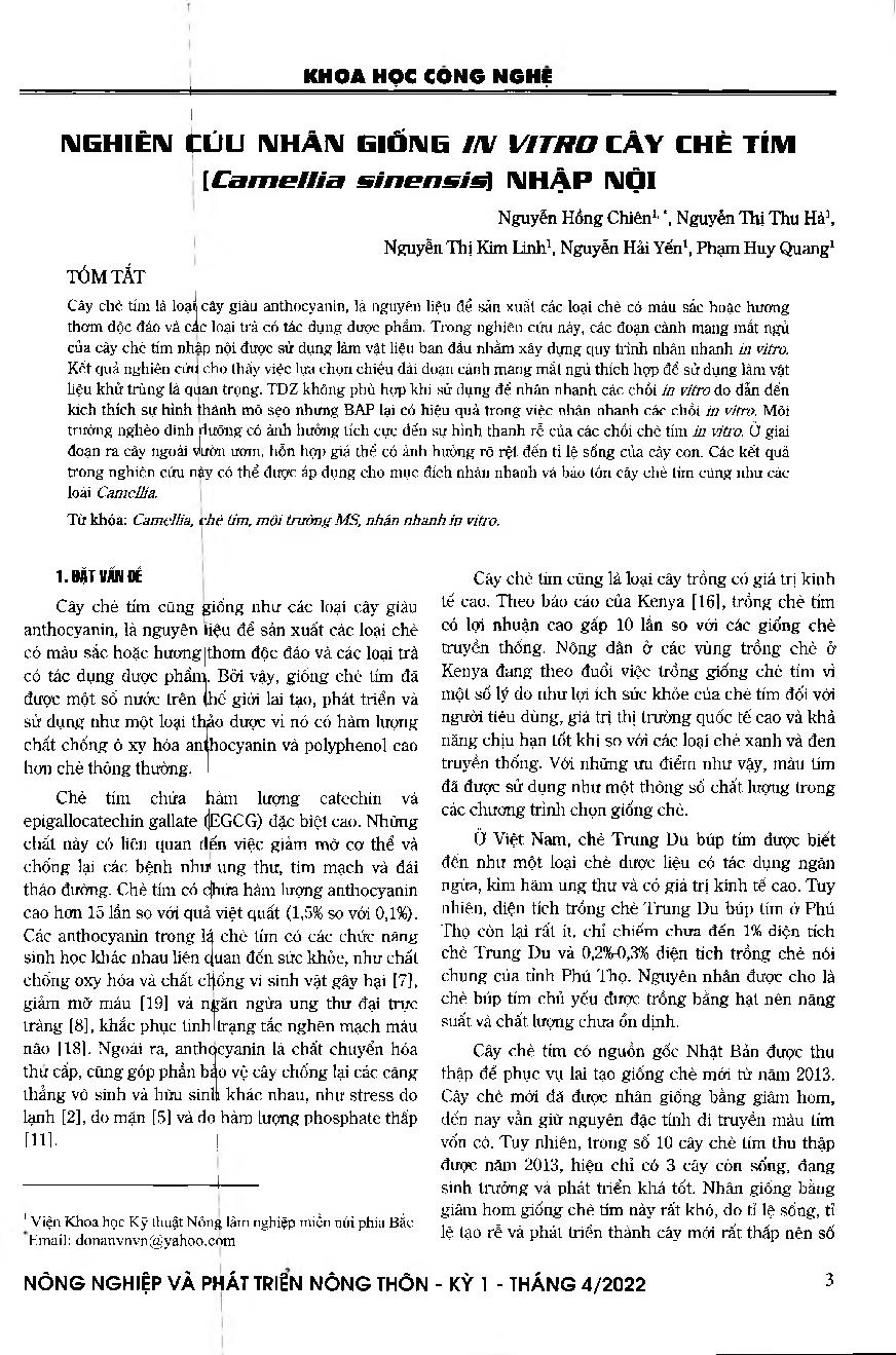 Nghiêm cứu nhân giống in vitro cây chè tím (Camellia sinensis) nhập nội = Research on in vitro propagation of imported purple tea (Camellia sinensis)