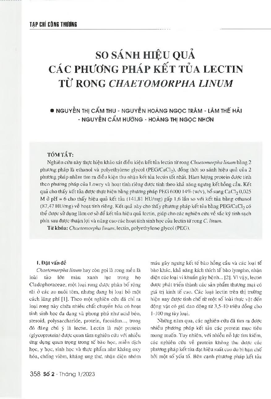 So sánh hiệu quả các phương pháp kết tủa lectin từ rong Chaetomorpha linum = A comparative study on the precipitation efficiency lectin from Chaetomorpha linum algae