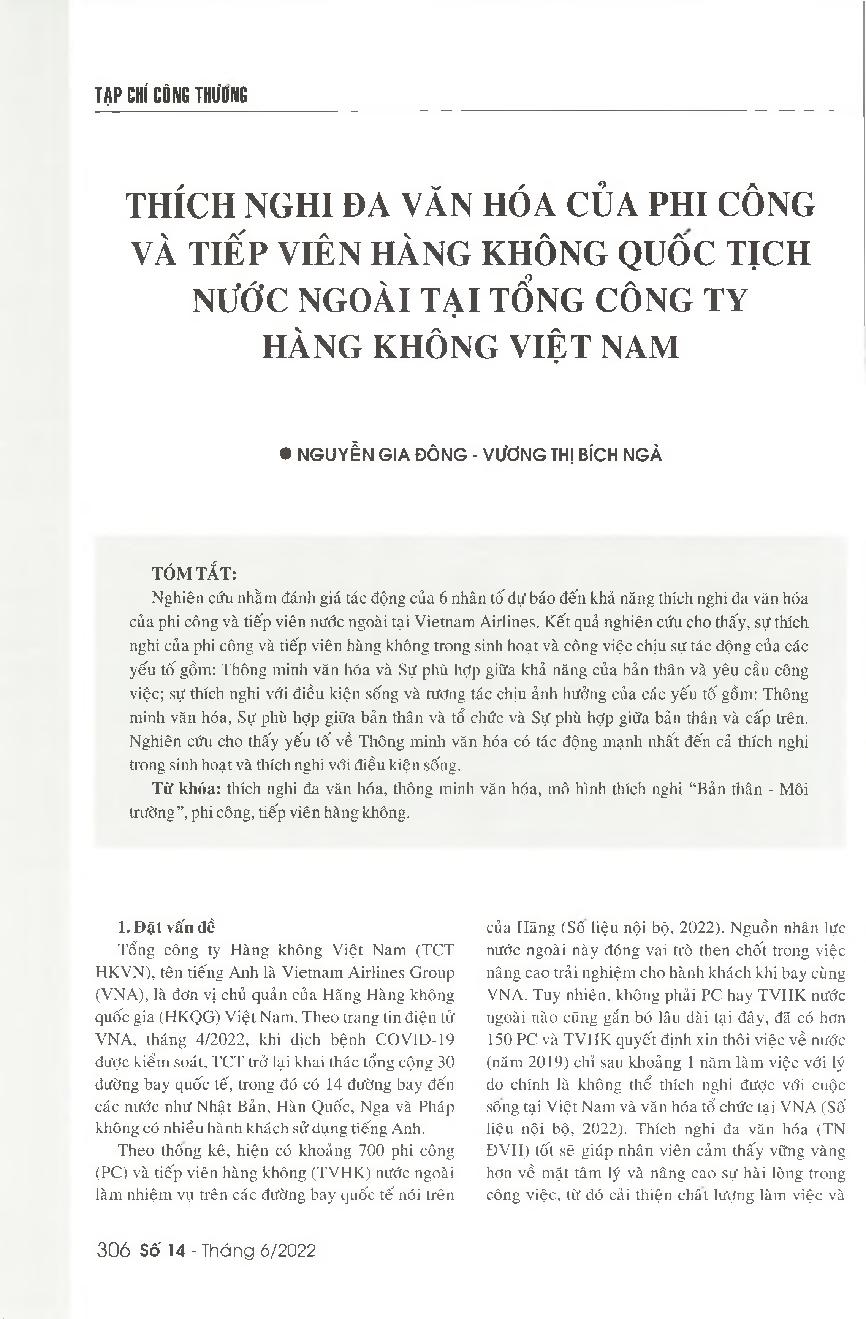 Thích nghi đa văn hóa của phi công và tiếp viên hàng không quốc tịch nước ngoài tại Tổng công ty Hàng không Việt Nam = Cross-cultural adjustment of foreign pilots and cabin crew working for Vietnam Airlines