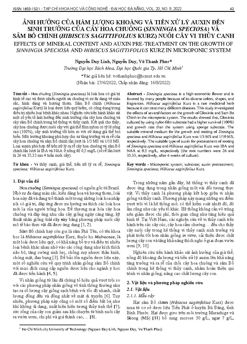 Ảnh hưởng của hàm lượng khoáng và tiền xử lý auxin đến sinh trưởng của cây hoa chuông (sinningia speciosa) và sâm bố chính (hibiscus sagittifolius kurz) nuôi cấy vi thủy canh = Effects of mineral content and auxin pre-treatment on the growth of sinningia 