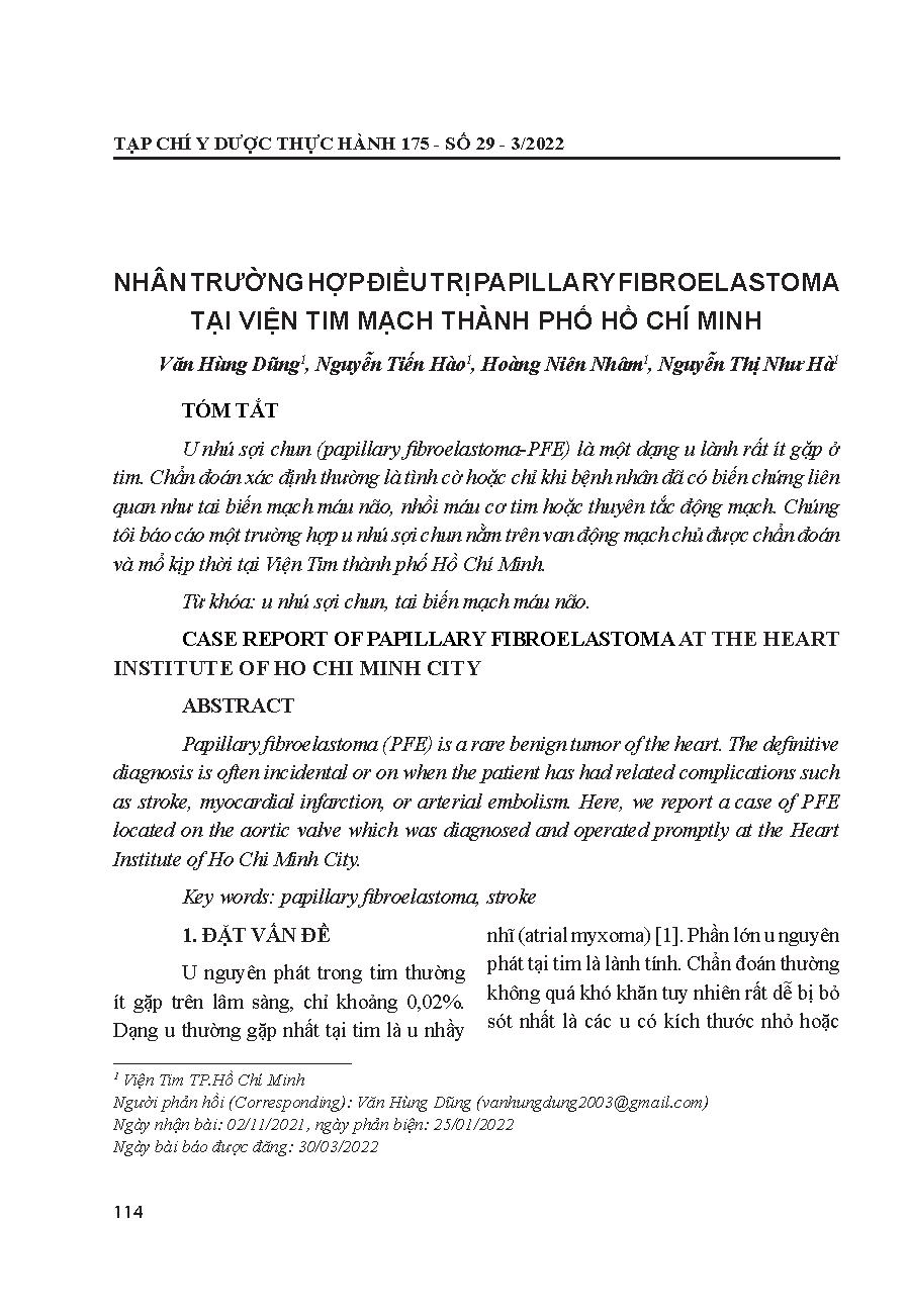Nhân trường hợp điều trị papillary fibroelastoma tại Viện Tim mạch thành phố Hồ Chí Minh = Case report of papillary fibroelastoma at the heart institute of Ho Chi Minh city