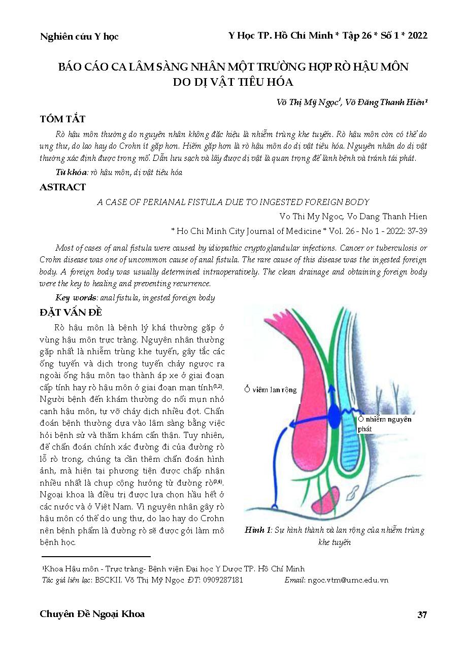 Báo cáo ca lâm sàng nhân một trường hợp rò hậu môn do dị vật tiêu hóa