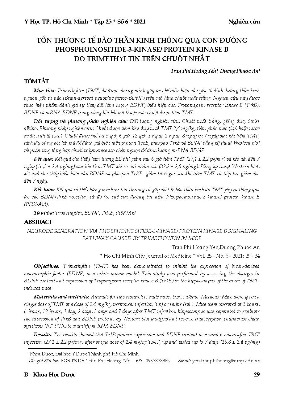 Tổn thương tế bào thần kinh thông qua con đường phosphoinositide-3-kinase/protein kinase B do trimethyltin trên chuột nhắt = Neurodegeneration via phosphoinositide-3-kinase/protein kinase B signaling pathway caused by trimethyltin in mice