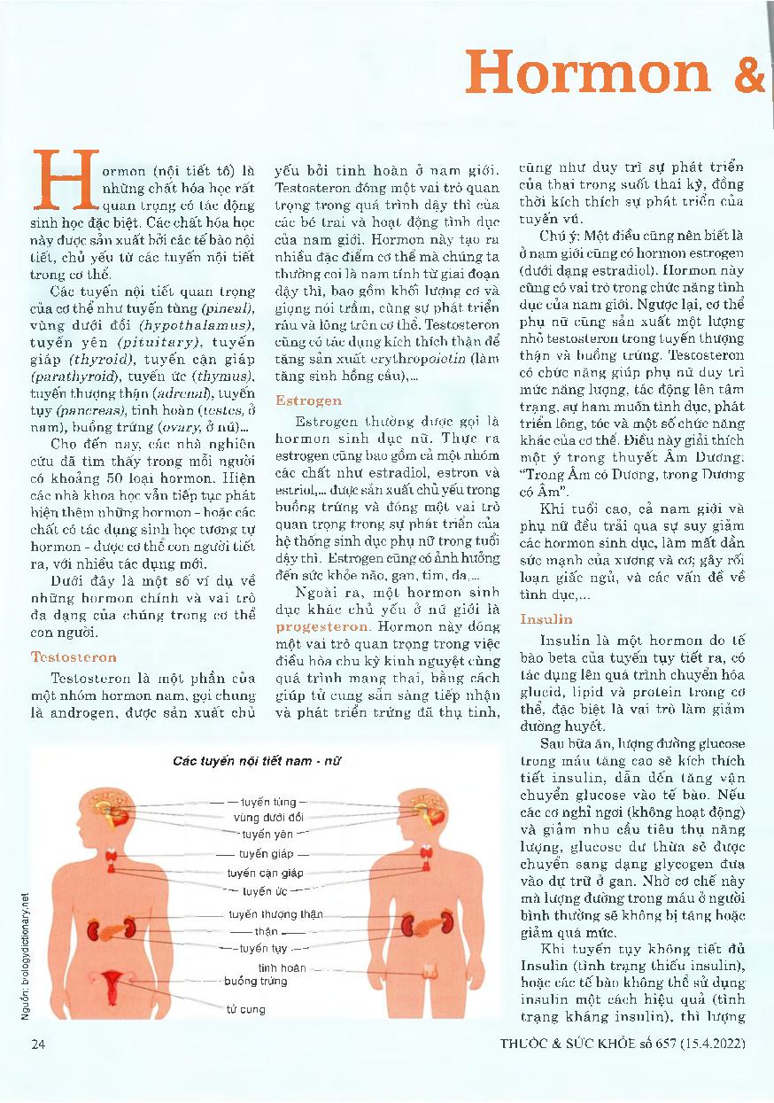 Hormon và sức khỏe = Hormones and health