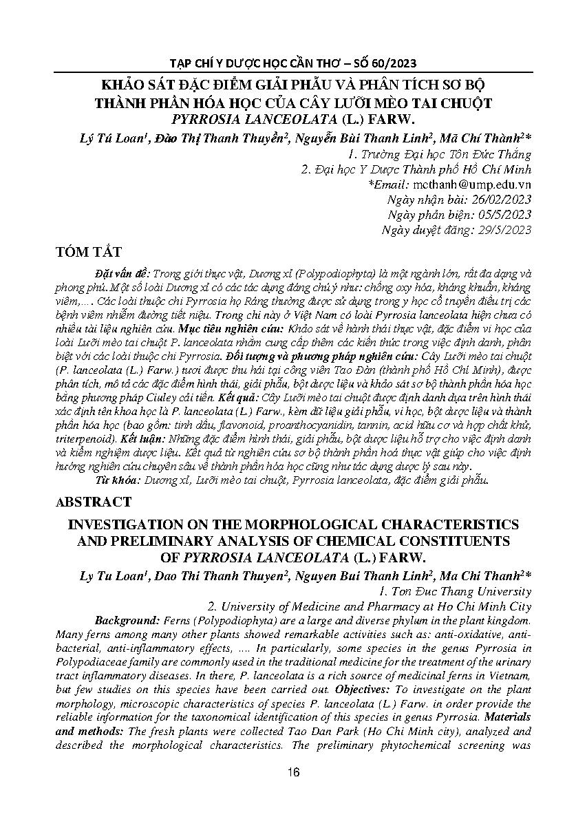 Khảo sát đặc điểm giải phẫu và phân tích sơ bộ thành phần hóa học của cây lưỡi mèo tai chuột Pyrrosia lanceolata (L.) Farw