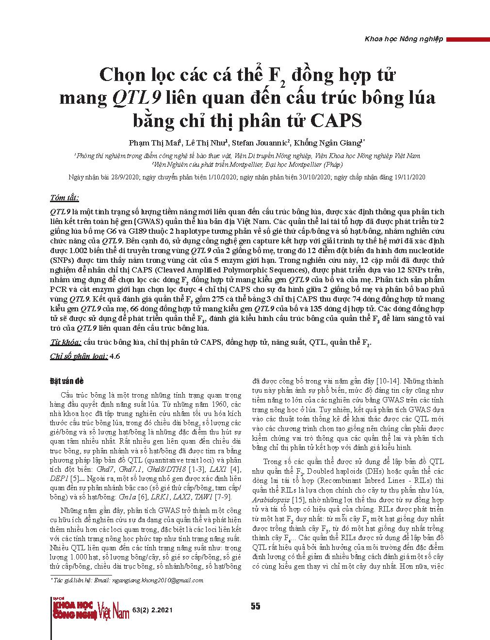 Chọn lọc các cá thể F2 đồng hợp tử mang QTL9 liên quan đến cấu trúc bông lúa bằng chỉ thị phân tử CAPS = Selection of F2 homozygous plants over the QTL9 related to rice panicle structure by using CAPS markers