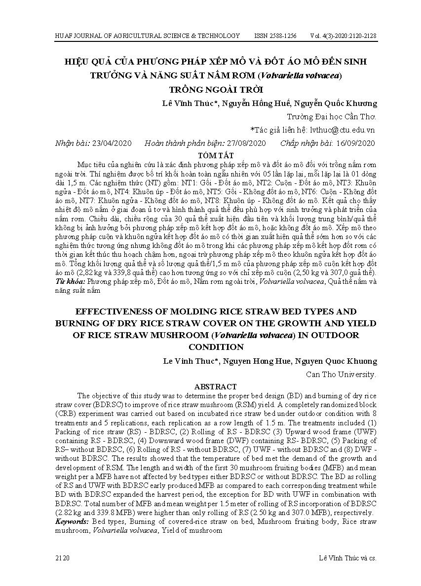 Hiệu quả của phương pháp xếp mô và đốt áo mô đến sinh trưởng và năng suất nấm rơm (Volvariella volvacea) trồng ngoài trời = Effectiveness of molding rice straw bed types and burning of dry rice straw cover on the growth and yield of rice straw mushroom (Volvariella volvacea) in outdoor condition