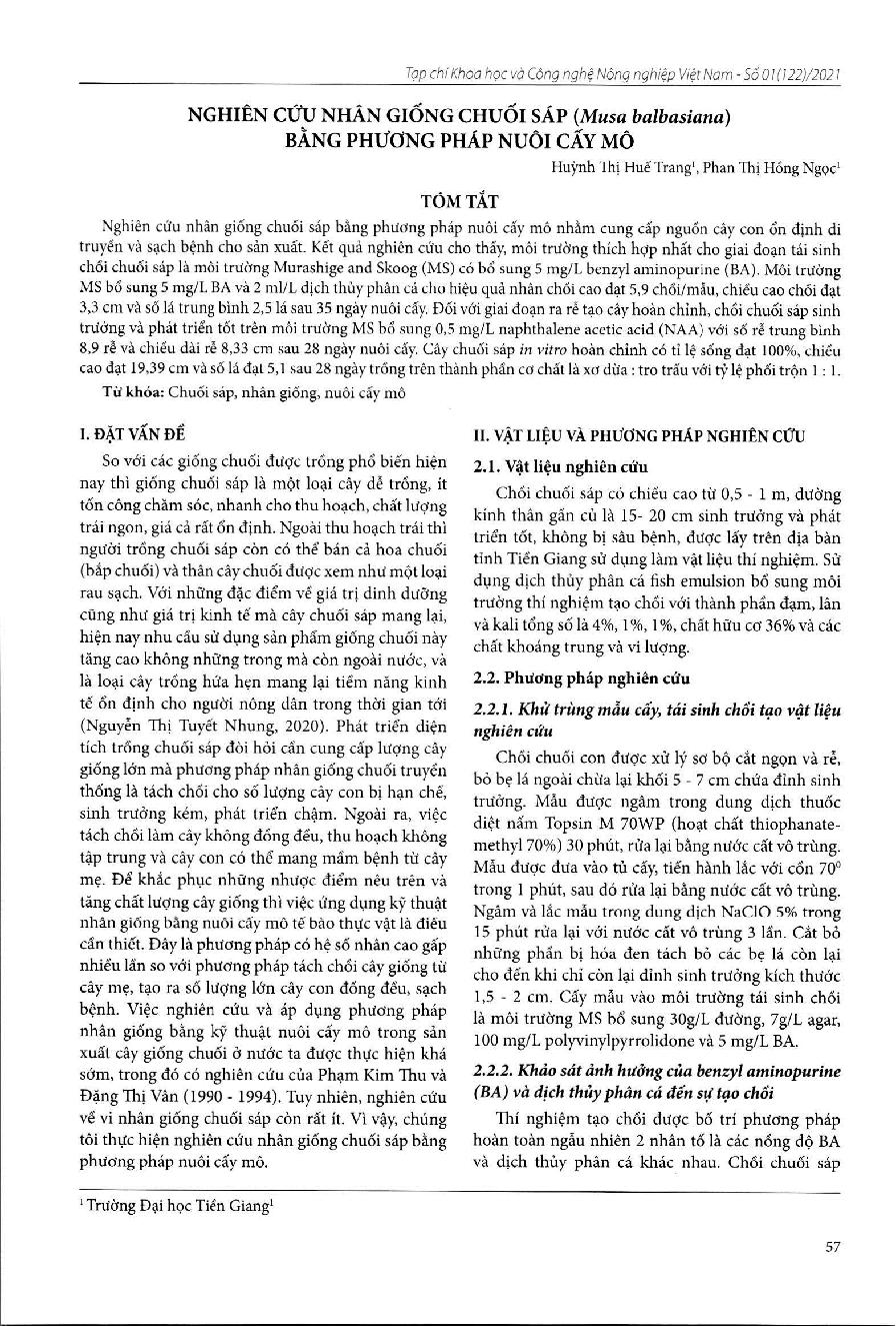 Nghiên cứu nhân giống chuối sáp (Musa balbasiana) bằng phương pháp nuôi cấy mô = Study on micropropagation of Musa balbasiana by tissue culture
