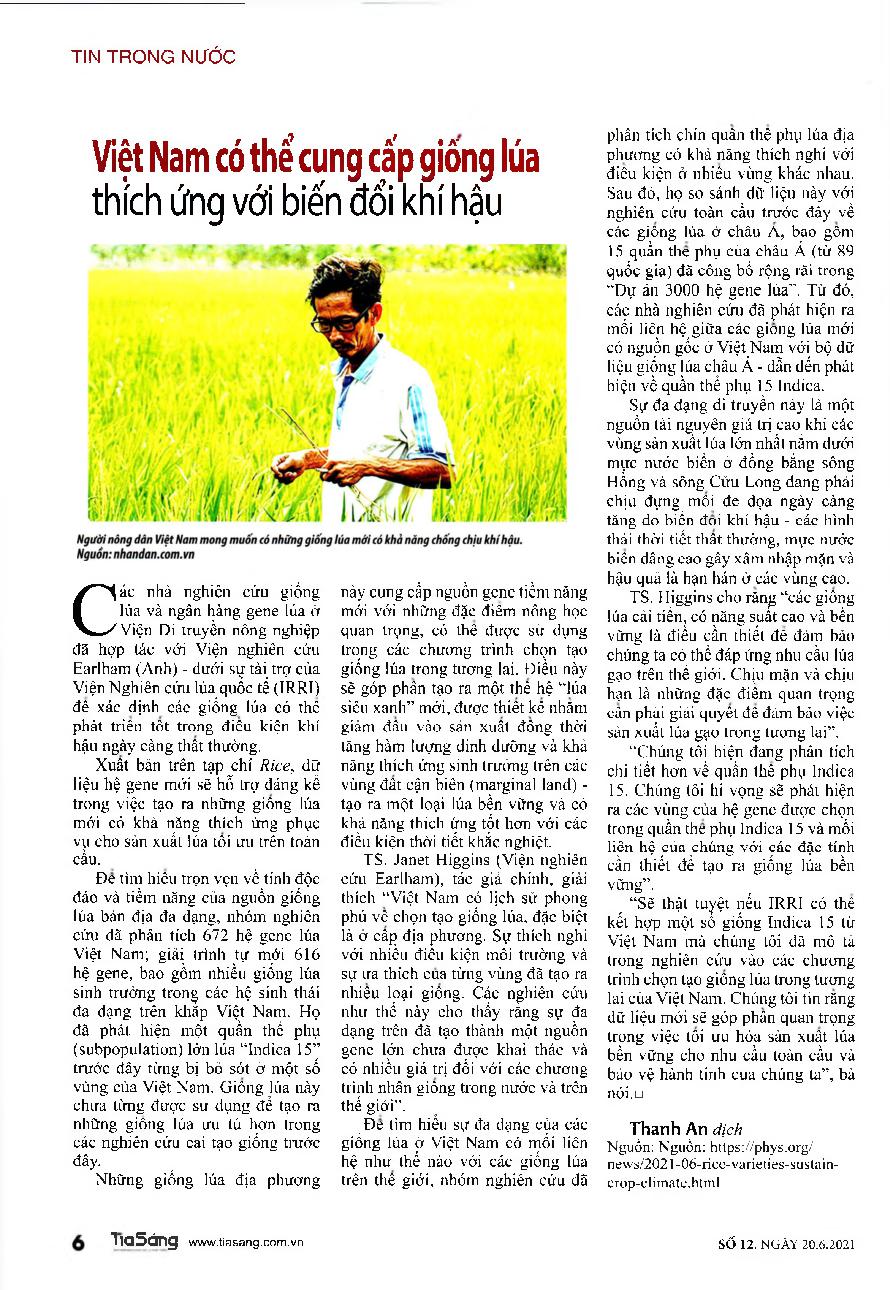 Việt Nam có thể cung cấp giống lúa thích ứng với biến đổi khí hậu