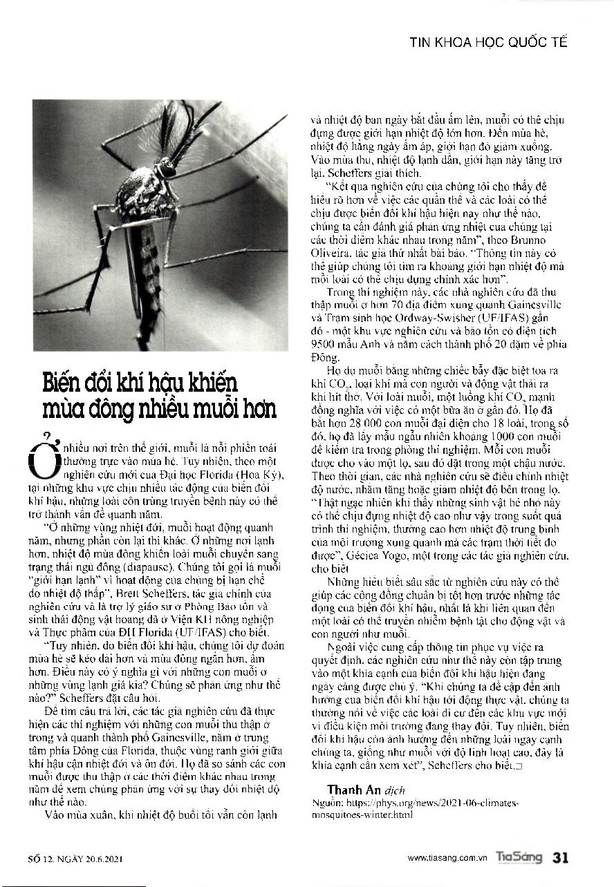 Biến đổi khí hậu khiến mùa đông nhiều muỗi hơn