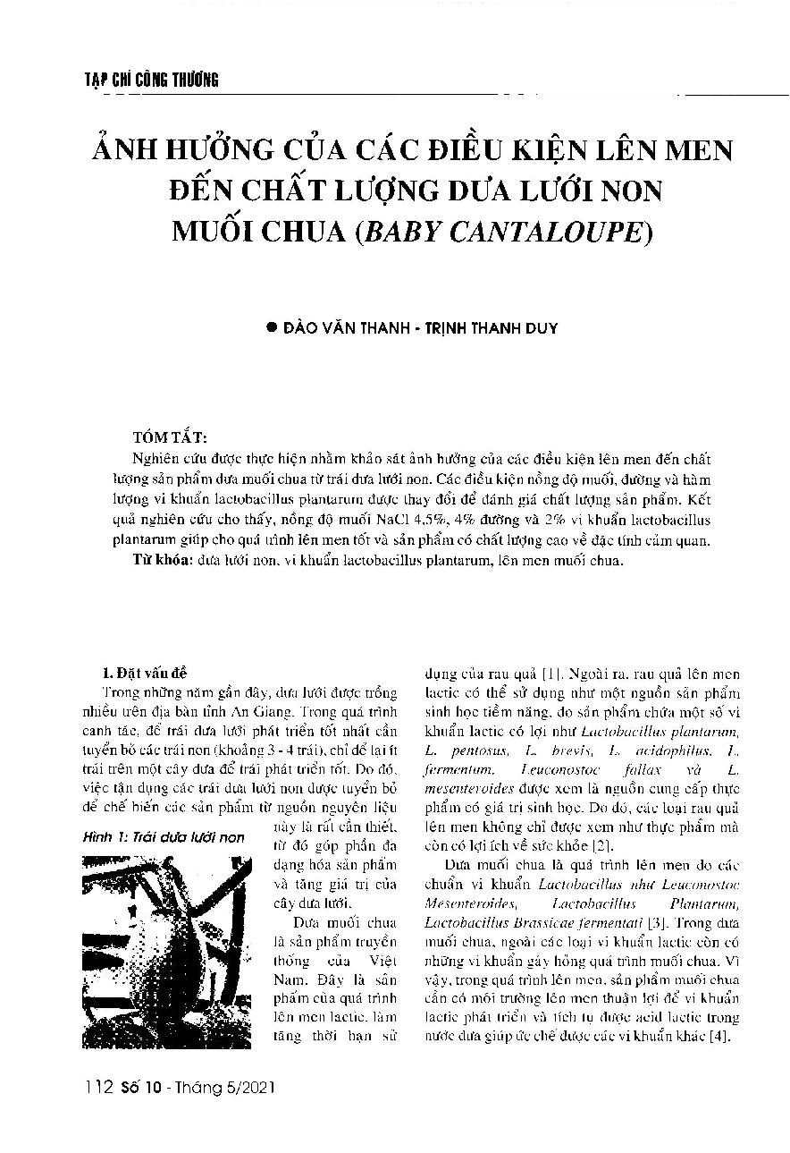 Ảnh hưởng của các điều kiện lên men đến chất lượng dưa lưới non muối chua (Baby cantaloupe)