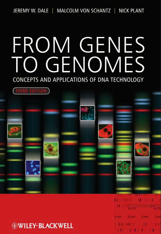 From genes to genomes : Concepts and applications of DNA technology (3rd)