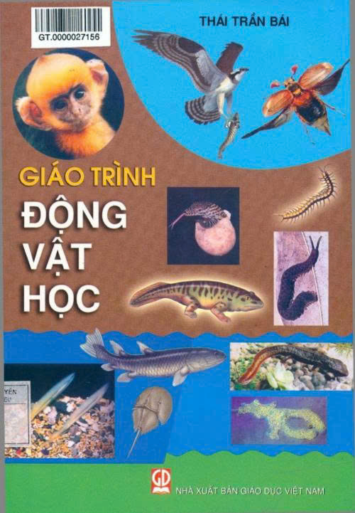 Giáo trình Động vật học