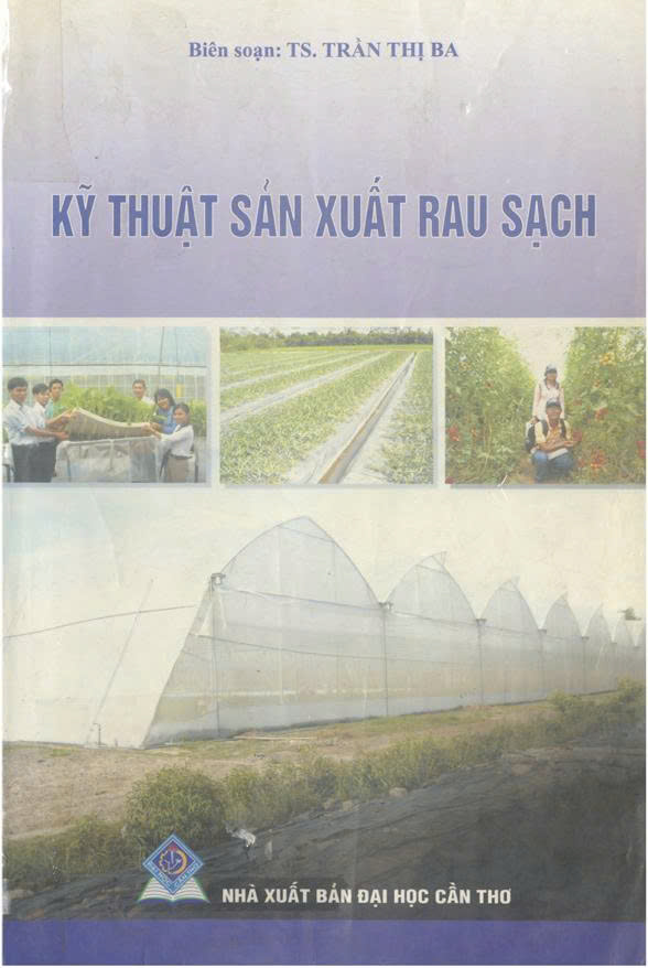 Kỹ thuật sản xuất rau sạch