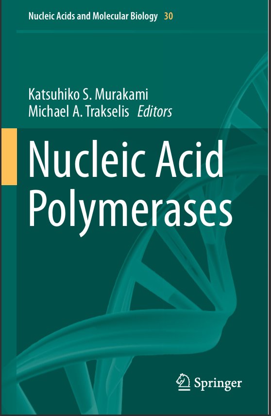 Nucleic Acid Polymerases